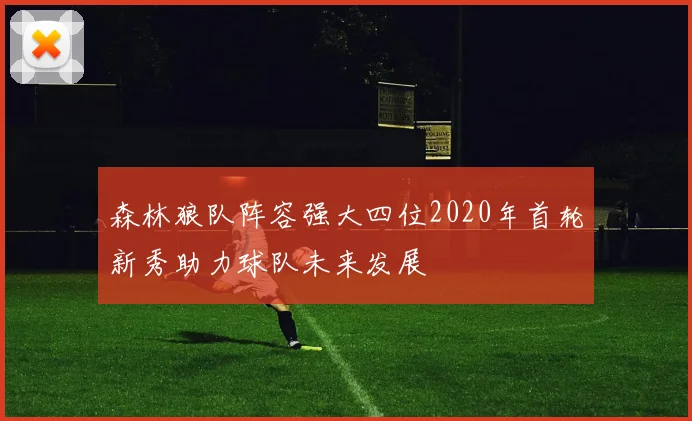 森林狼队阵容强大四位2020年首轮新秀助力球队未来发展