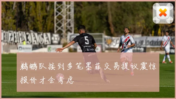 鹈鹕队接到多笔墨菲交易提议震惊报价才会考虑